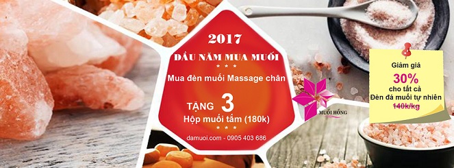 da muoi himalaya khuyen mai 2017