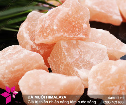 da muoi himalaya muoi hong group 1
