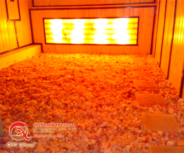 Sức khoẻ cộng đồng