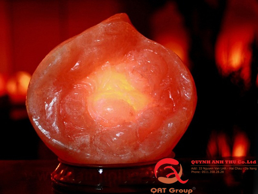 den da muoi dao tien q1