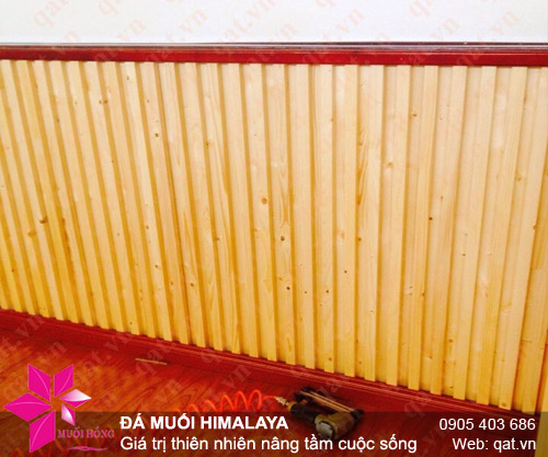 phong da muoi hong ngoai Lisa Fitness q3