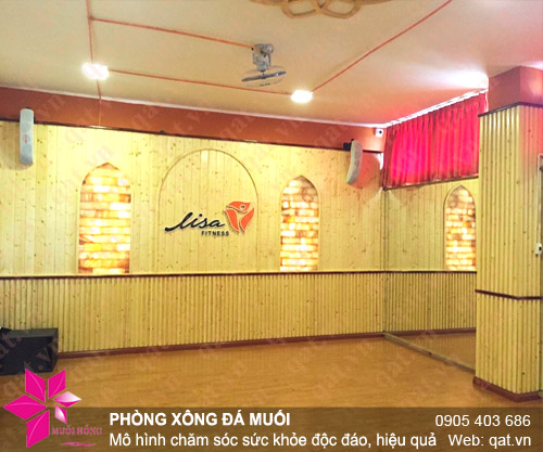 phong da muoi hong ngoai Lisa Fitness q4