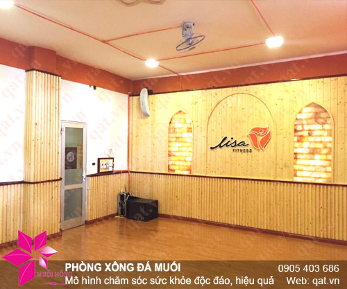 phong da muoi hong ngoai Lisa Fitness q5
