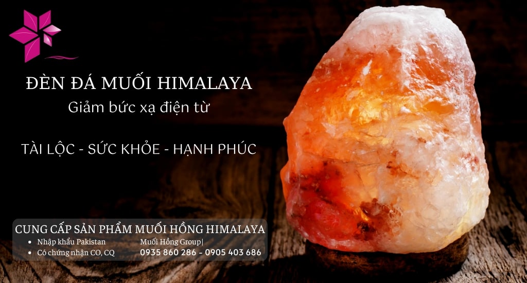 Đèn Đá Muối Phong Thủy Nên Đặt Ở Đâu? Muối Hồng Group