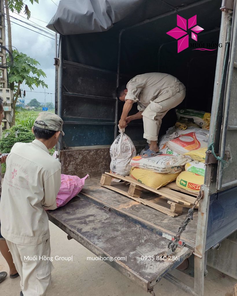 Lắp đặt spa Onsen JjimJilBang